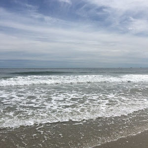 Meet your Posher, Bri